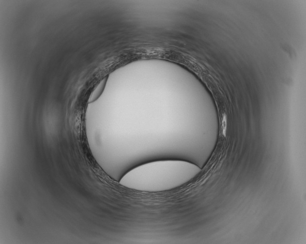 X0000114721395200910211042