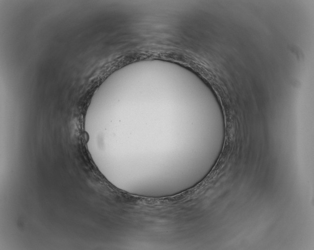 X0000114721397200910211042