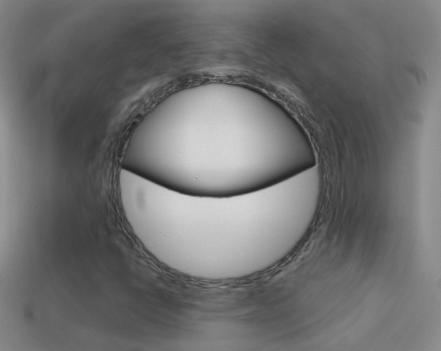 X0000114721398200910211042