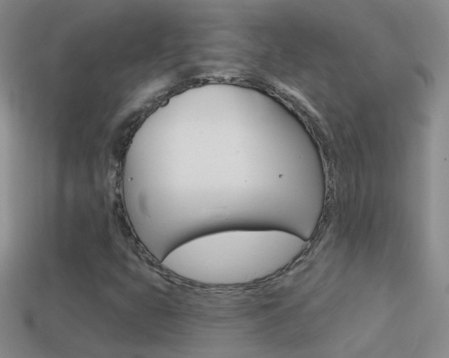 X0000114721399200910211042