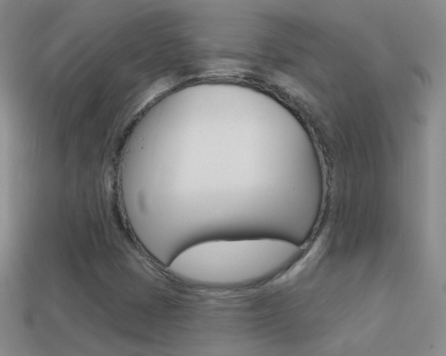 X0000114721401200910211042