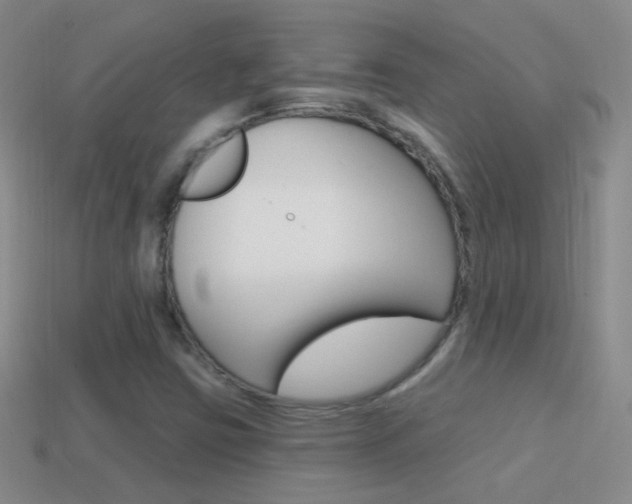 X0000114721403200910211042