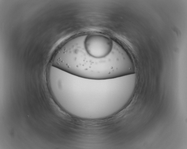 X0000114721404200910211042