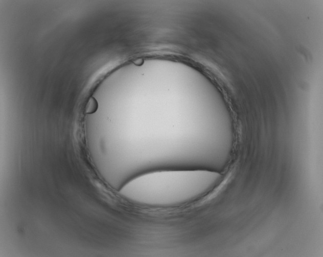 X0000114721405200910211042
