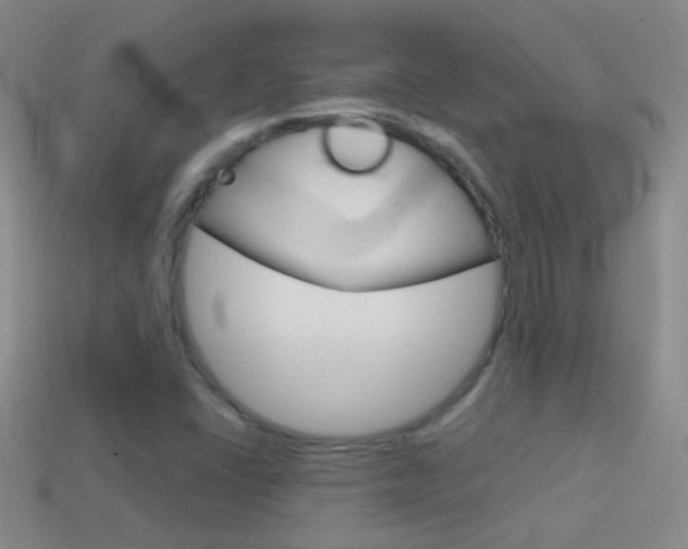 X0000114721406200910211042