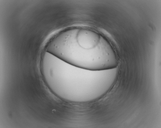 X0000114721408200910211042