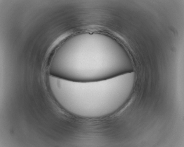 X0000114721410200910211042