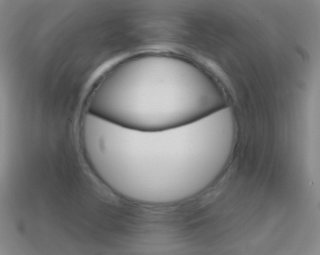 X0000114721412200910211042