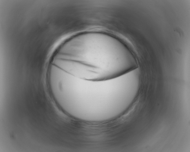 X0000114721414200910211042