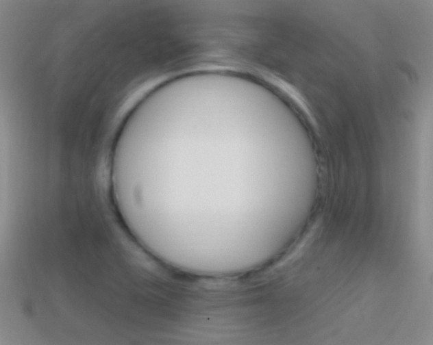 X0000114721415200910211042