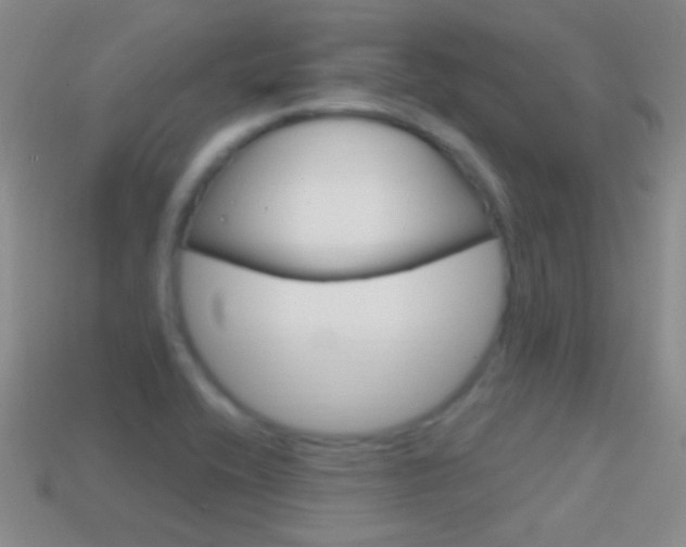 X0000114721416200910211042