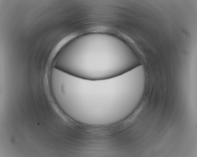 X0000114721418200910211042
