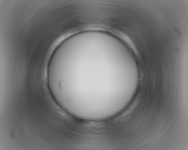 X0000114721419200910211042