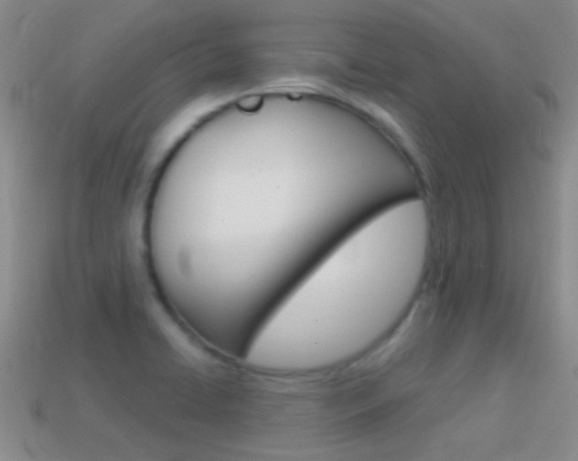 X0000114721422200910211042