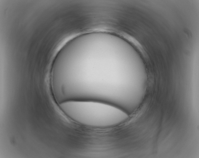 X0000114721423200910211042