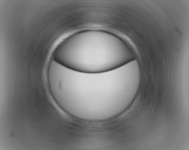X0000114721424200910211042