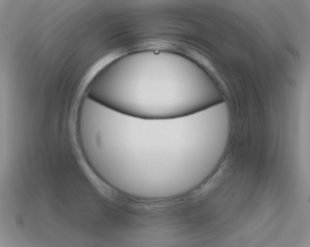 X0000114721426200910211042