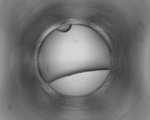 X0000114721427200910211042