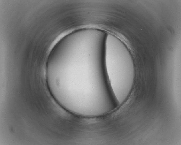 X0000114721428200910211042