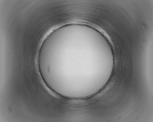 X0000114721429200910211042