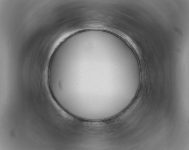 X0000114721432200910211042