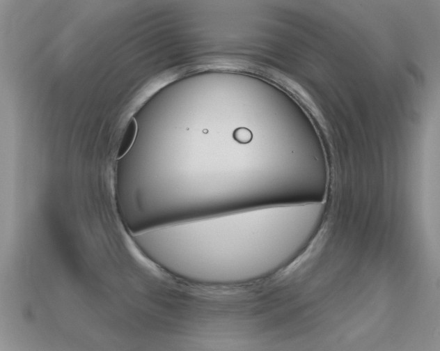 X0000114721433200910211042