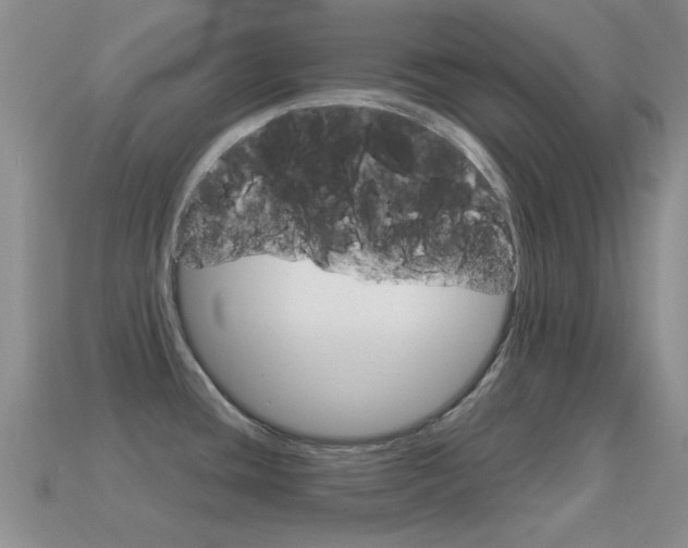 X0000114721436200910211042