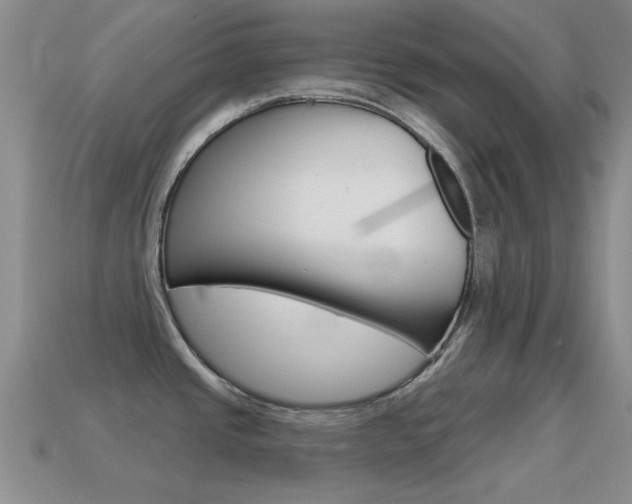 X0000114721437200910211042