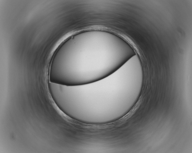 X0000114721438200910211042