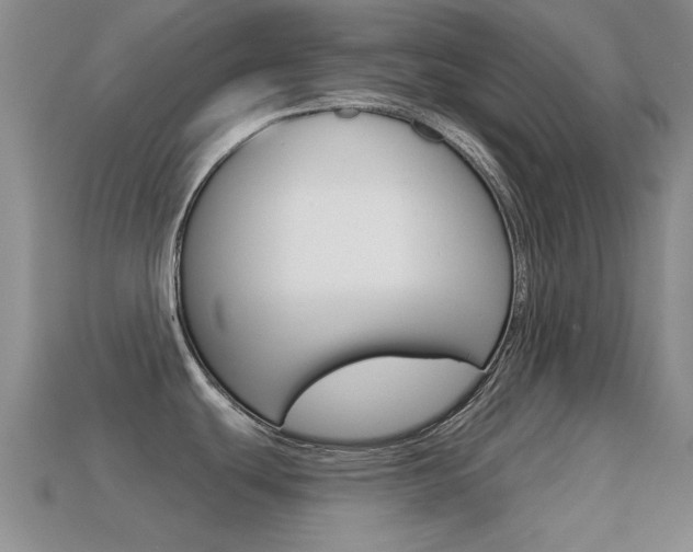 X0000114721439200910211042
