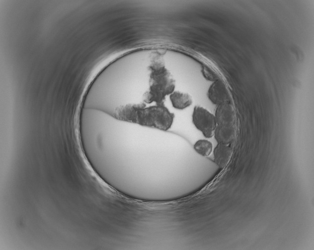X0000114721440200910211042