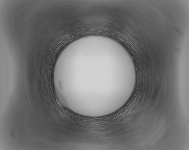 X0000114721441200910211042