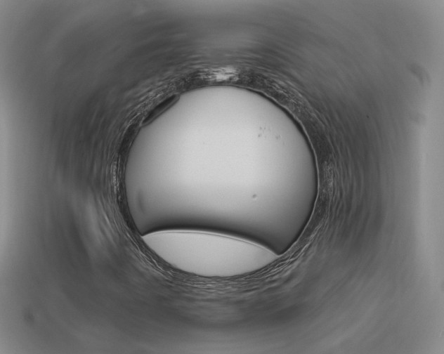 X0000114721442200910211042