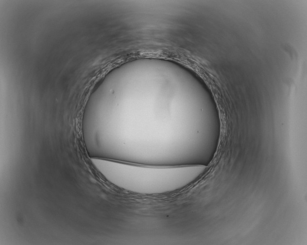 X0000114721445200910211042