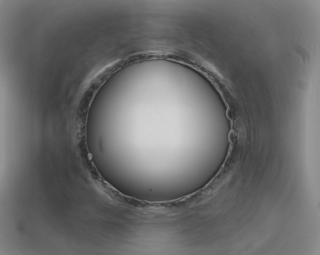 X0000114721448200910211042