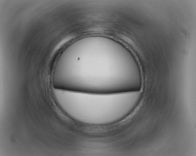 X0000114721450200910211041