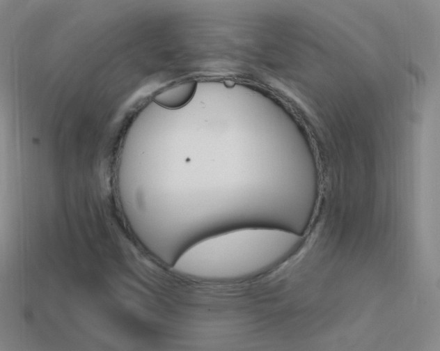 X0000114721451200910211041