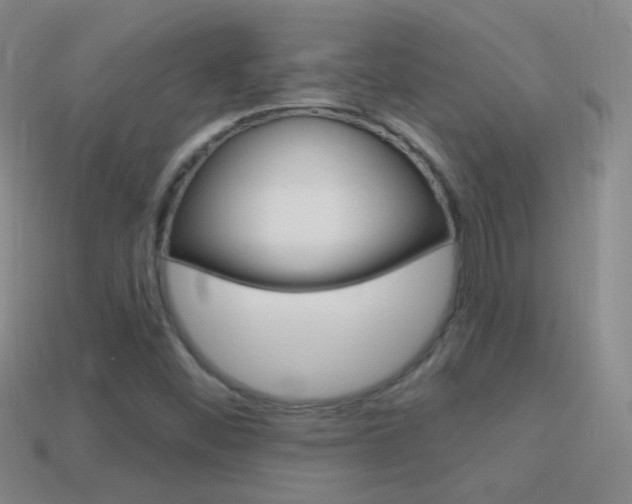 X0000114721452200910211041