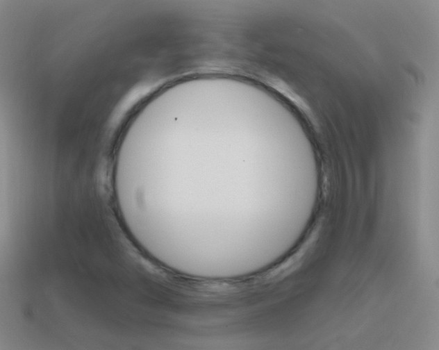 X0000114721454200910211041