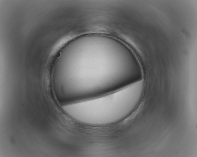 X0000114721455200910211041