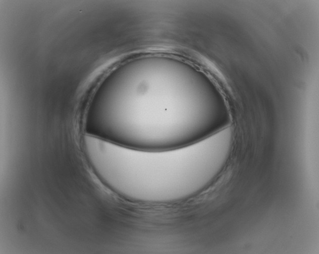 X0000114721456200910211041