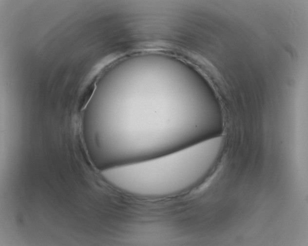 X0000114721457200910211041