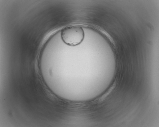 X0000114721461200910211041