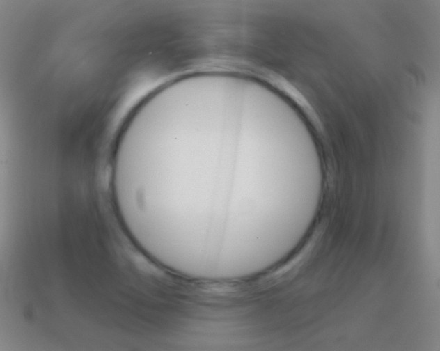 X0000114721462200910211041
