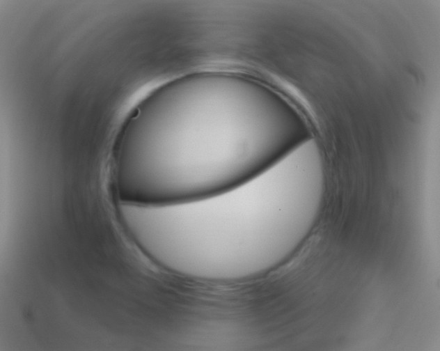 X0000114721463200910211041