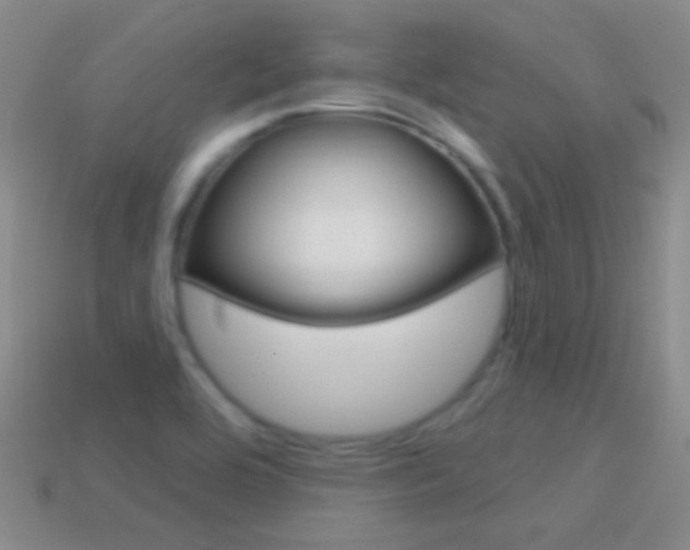 X0000114721464200910211041