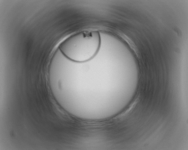 X0000114721465200910211041