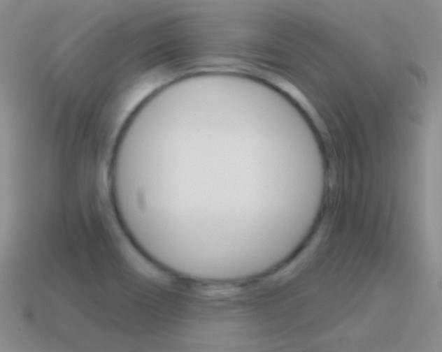 X0000114721466200910211041