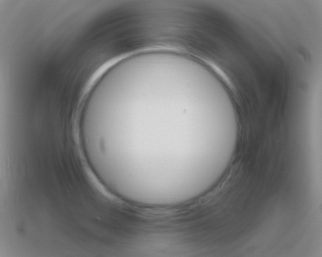 X0000114721468200910211041