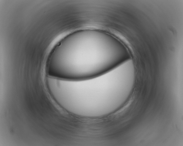 X0000114721469200910211041